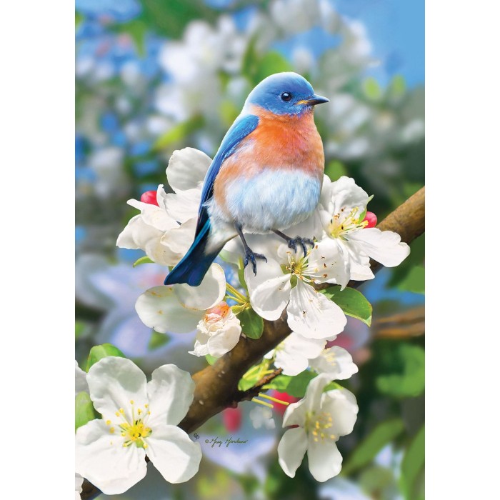 Magnifique oiseau bleu ( petit 12 x 18 )