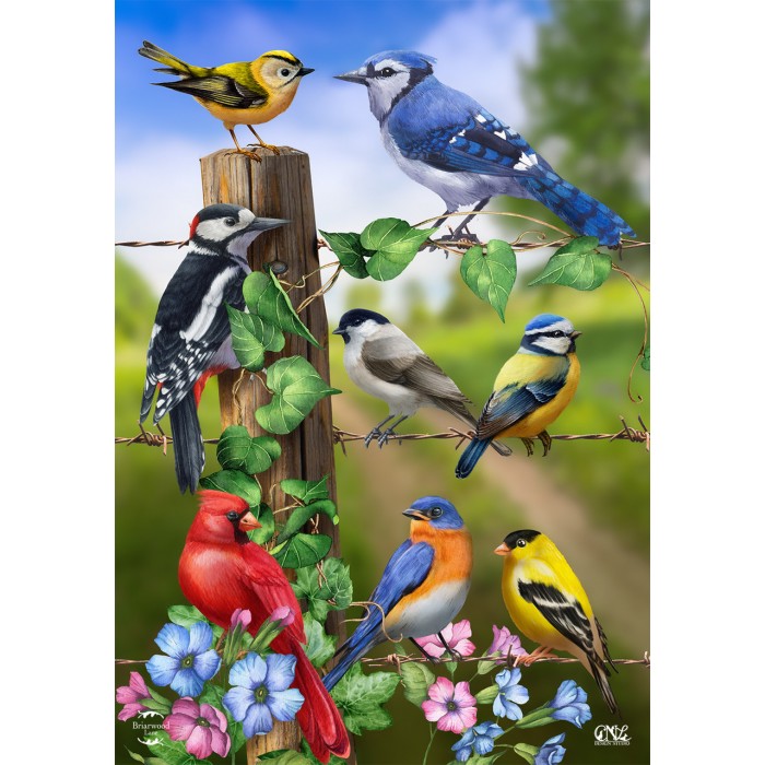 Oiseaux de campagne - Drapeau décoratif