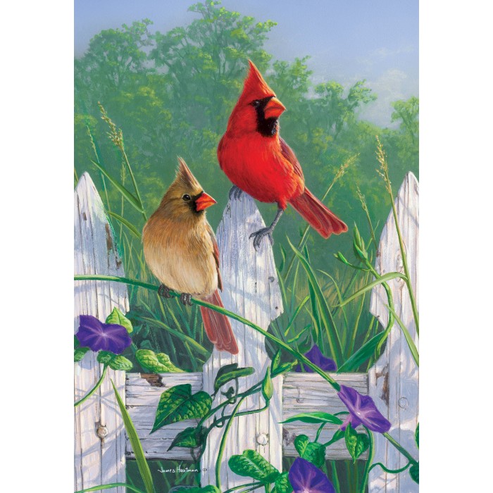 Cardinals et clôture ( petit 12 x 18 )