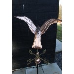 Girouette en cuivre pur Smithsonian - Aigle